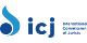 Secretary-General (Head of the Organization)